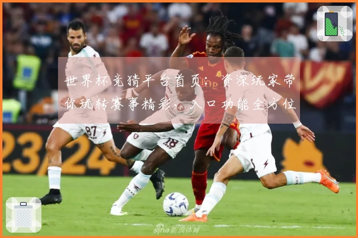 世界杯竞猜平台首页：资深玩家带你玩转赛事精彩，入口功能全方位体验