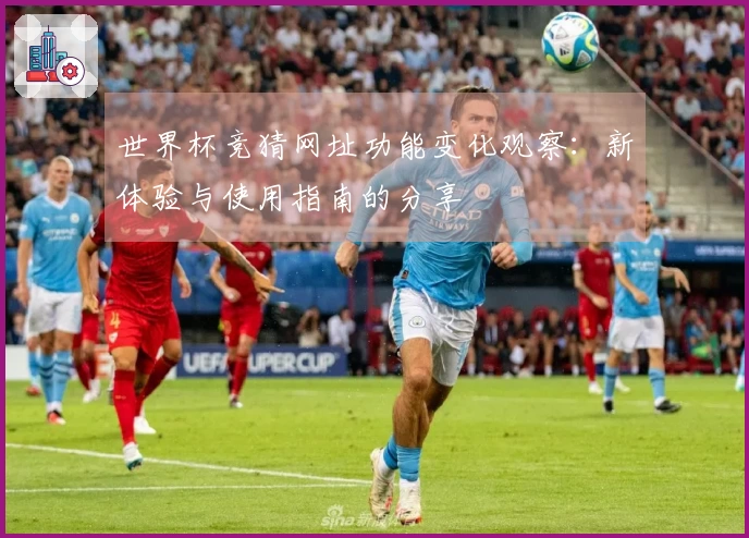 世界杯竞猜网址功能变化观察：新体验与使用指南的分享