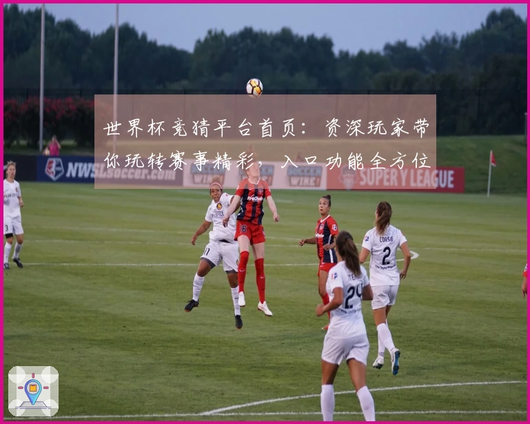 世界杯竞猜平台首页：资深玩家带你玩转赛事精彩，入口功能全方位体验