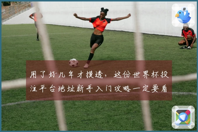用了好几年才摸透，这份世界杯投注平台地址新手入门攻略一定要看