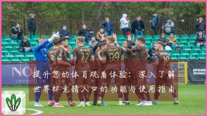 提升您的体育观看体验：深入了解世界杯竞猜入口的功能与使用指南
